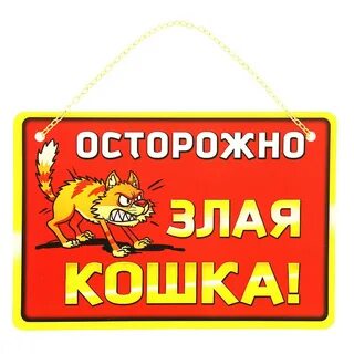 Злую здесь то