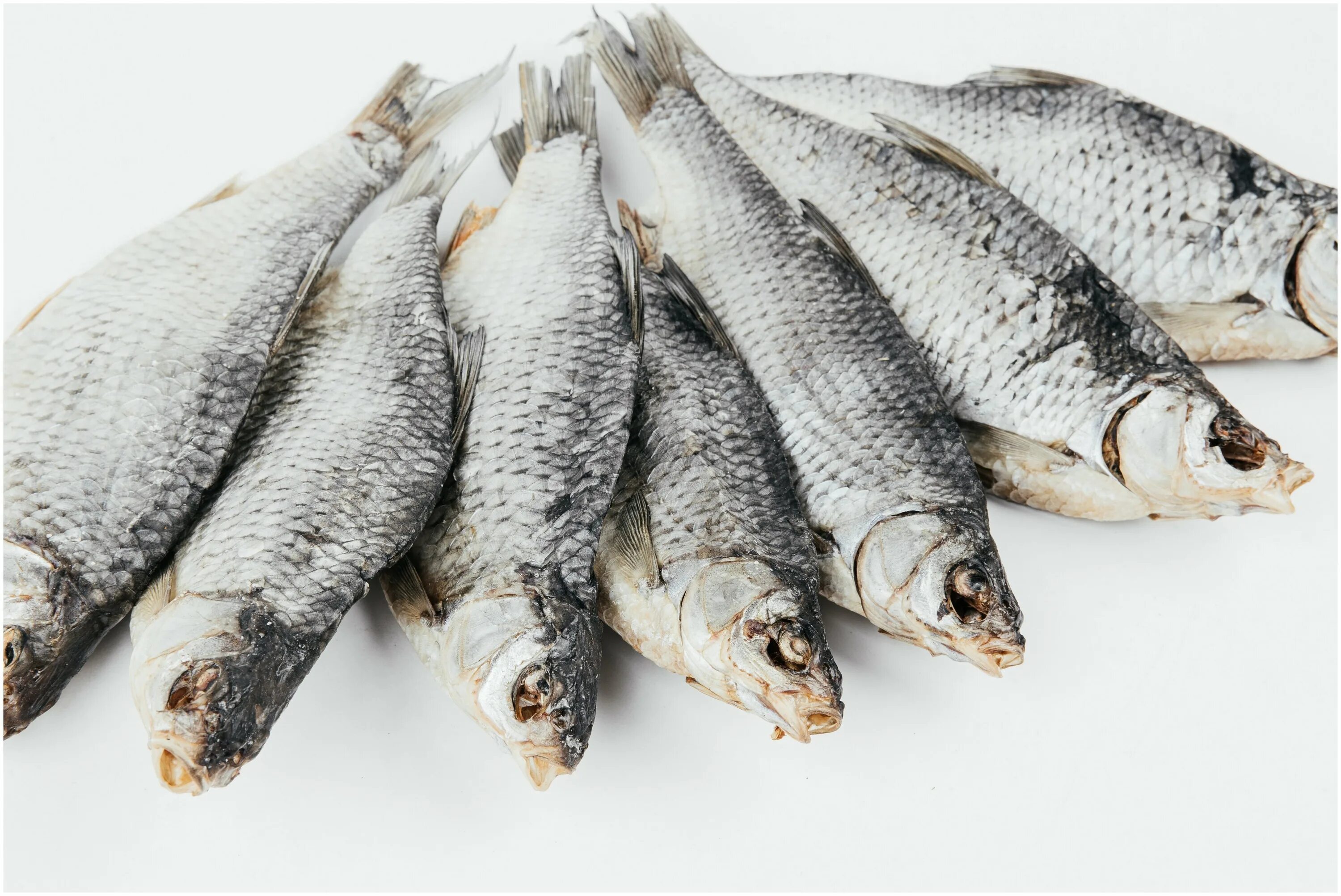 Речная рыба плотва. Плотва весной. Плотва 5. Зимняя плотва. Плотва 5.