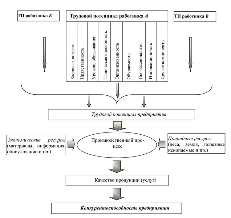 Трудовой потенциал. Трудовой потенциал организации схема. Повышение трудового потенциала персонала. Человеческий потенциал схема. Потенциал организации работника