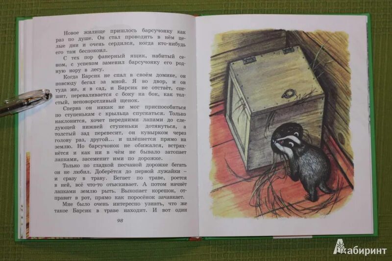 Пушок читать. Г скребицкий пушок. скребицкий пушок книга.