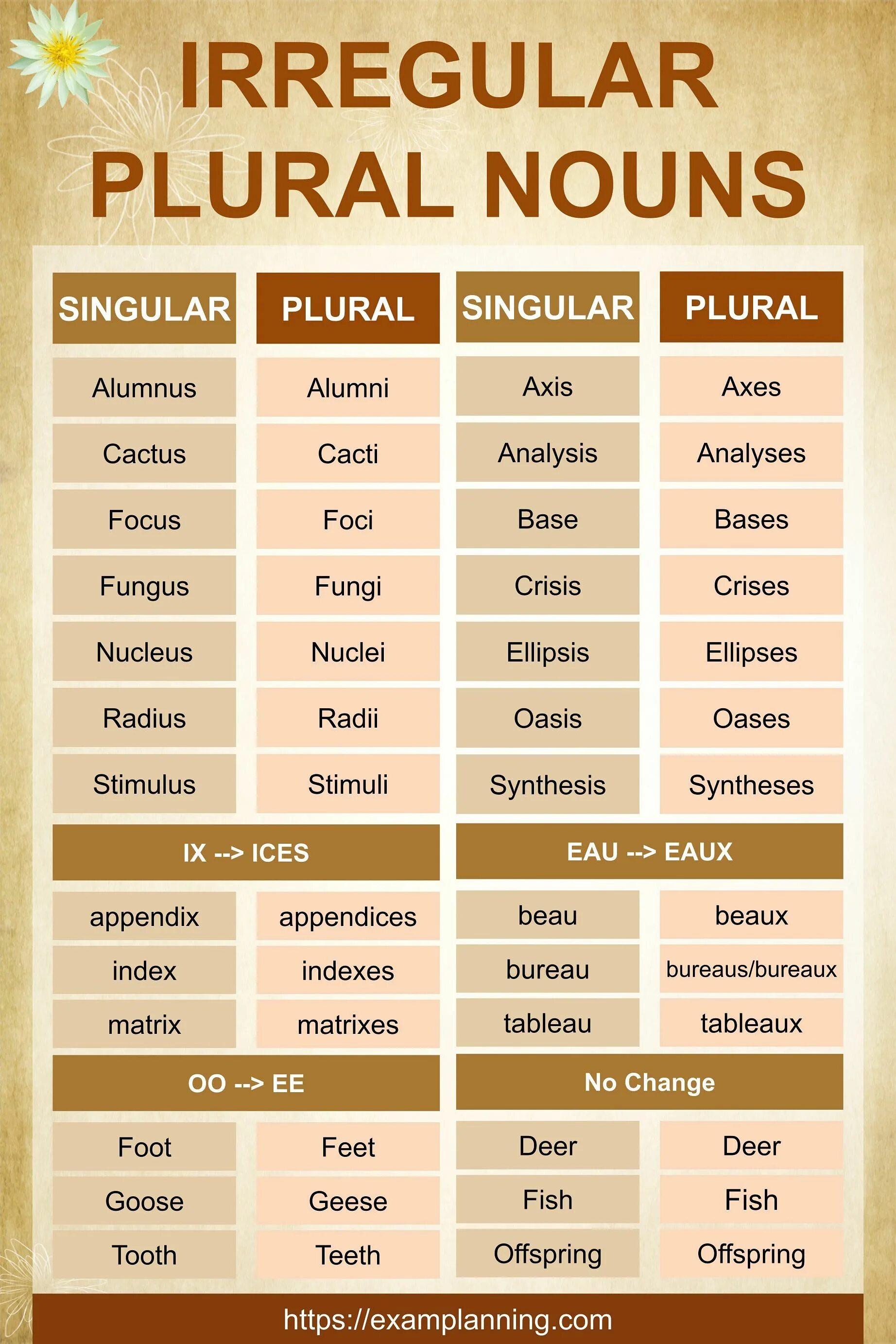 Irregular plurals. Irregular plural nouns. irregular plural nouns список. здгкфд шшкупгдфк тщгты. irregular plurals список.