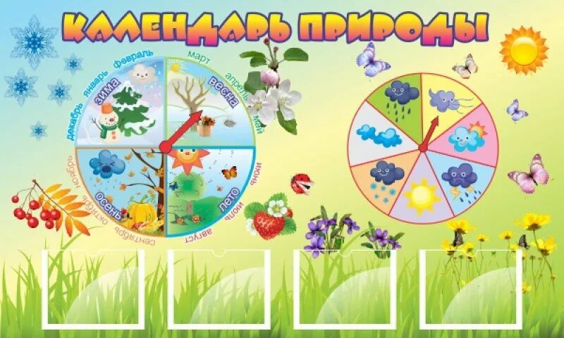 Картинка уголок природы в детском саду. Календарь природы для детского сада. стенд календарь природы для детского сада. календарь природы в средней группе. календарь природы в доу.