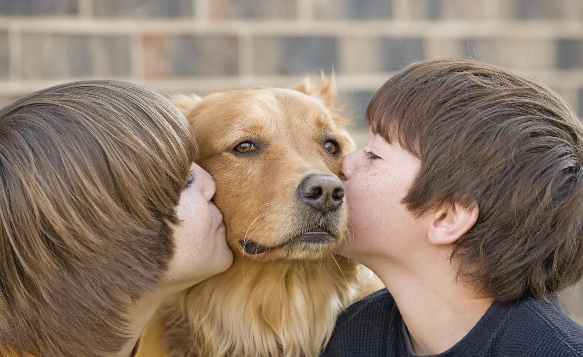 Собака друг человека. Домашние животные и человек. Люди и животные любовь. Любовь к животным.