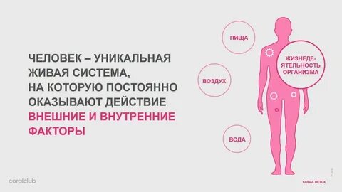 В каких системах живет человек