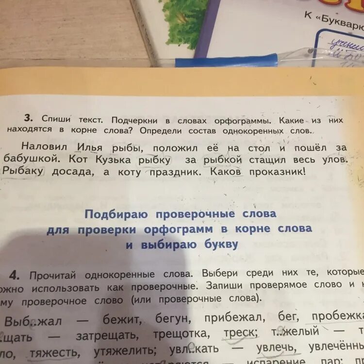 Составьте предложение со словом спиши. Подчеркни орфограммы в словах. Орфограмма в слове. Спиши текст. Списать подчеркнуть орфограммы.