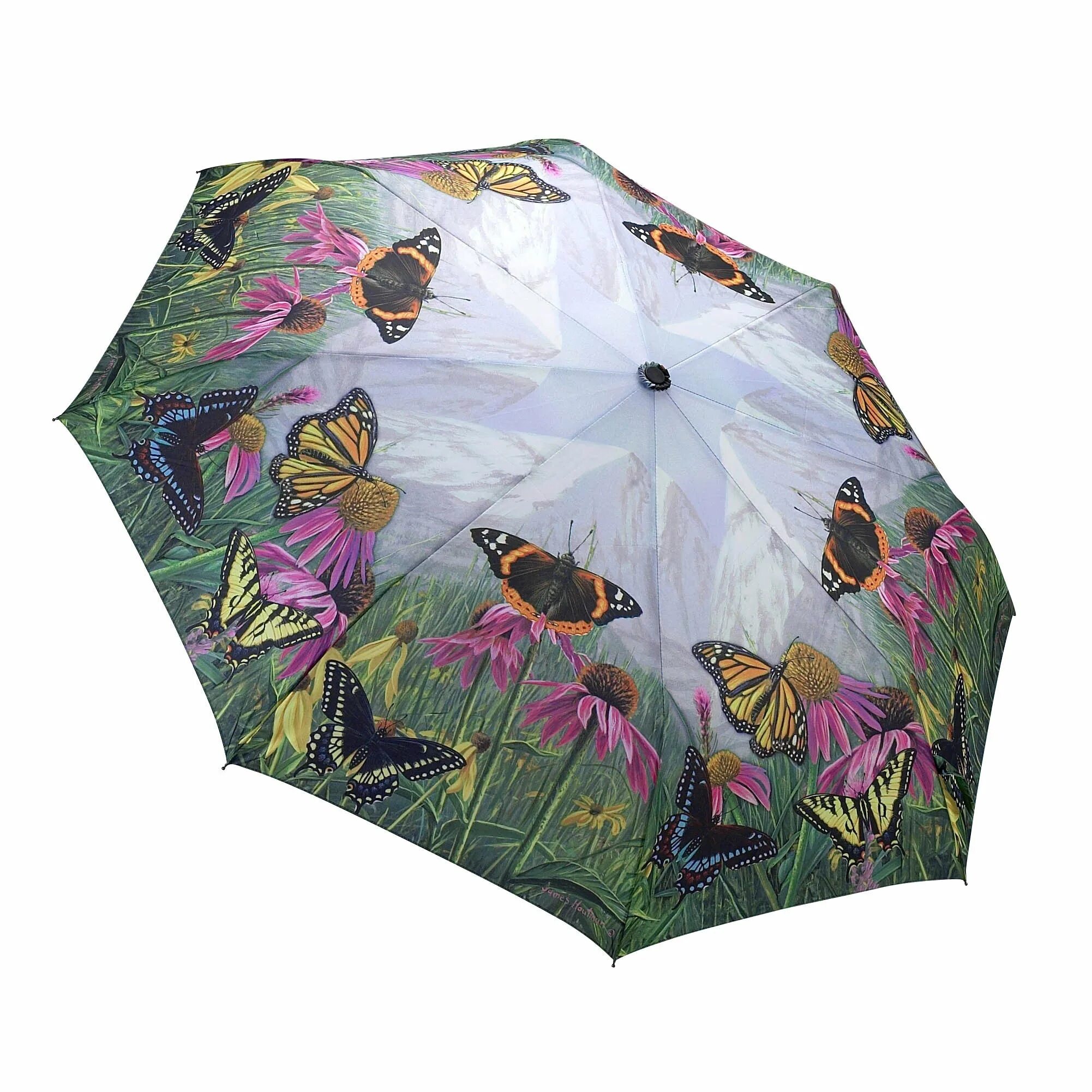 Зонт. Зонт бабочка. Красивый зонт. Женский зонт. Зонтик купить в москве
