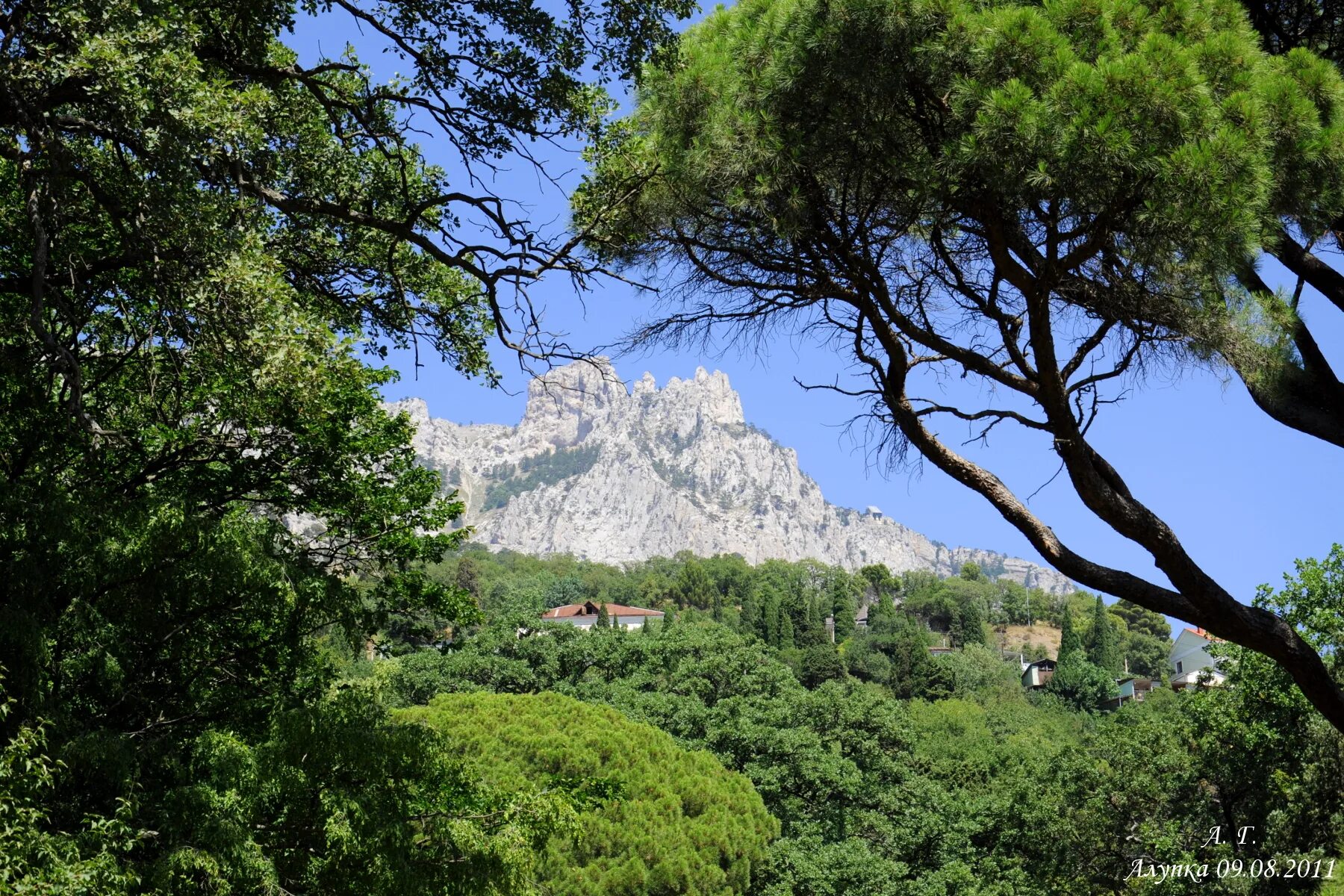 Воронцовский парк крым. Алупка вид на ай петри. Алупка гора ай петри. Ай петри парк. Гора ай петри зубцы.