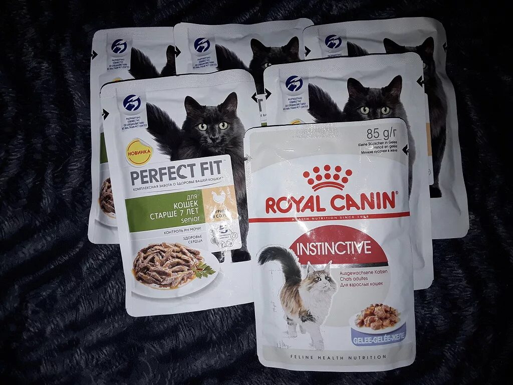 Кошачий корм в пакетиках. Корм для кошек в пакетиках. Еда для котов в пакетиках. Кошачий корм мягкий.