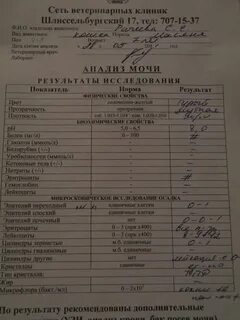 Сколько делаются анализы в бесплатной поликлинике