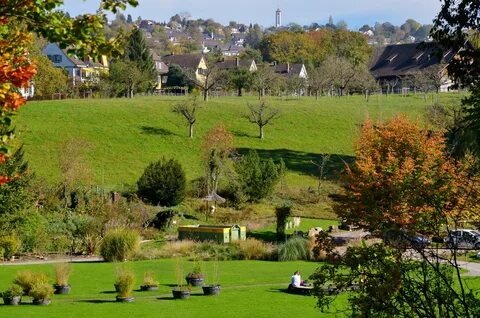 Der garten