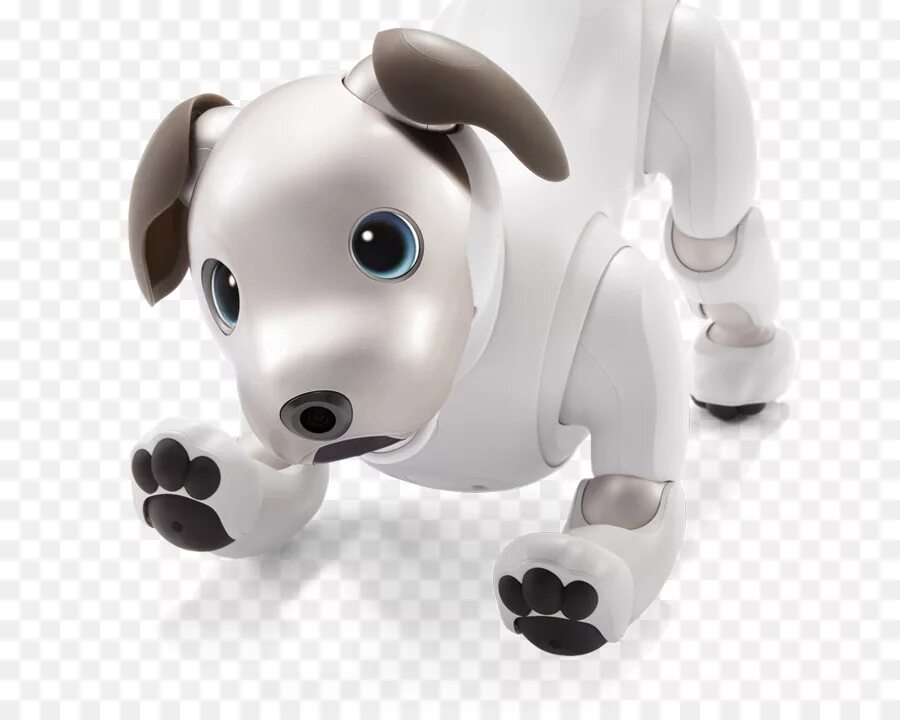 Робот собака Aibo. Sony Aibo. Робот собака чипик. Чип игрушка собака. Включи чипик