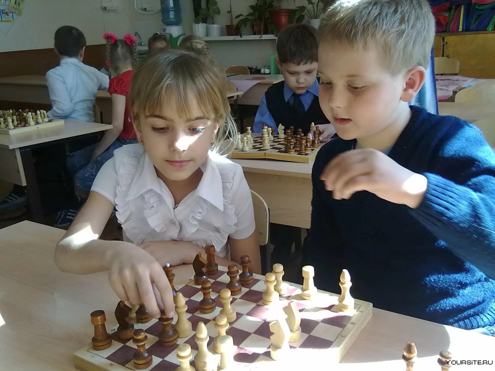 Шахматы для дошкольников. Шахматы 9x9. Шахматы — это гимнастика для мозгов. Шахматы кружок для детей. Рабочая программа кружка шахматы.