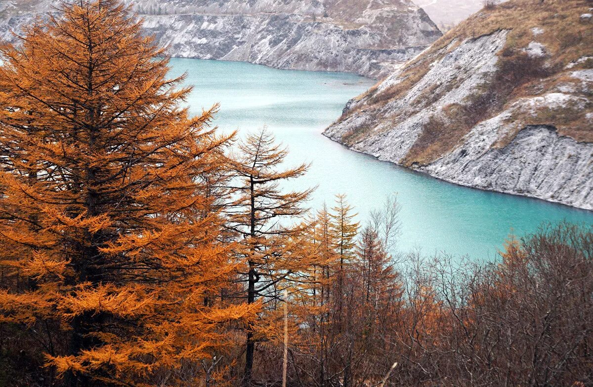 тундра вишерский заповедник. сахалин таймыр. бухта тихая сахалин. сахалин океан. остров сахалин бухта тихая.