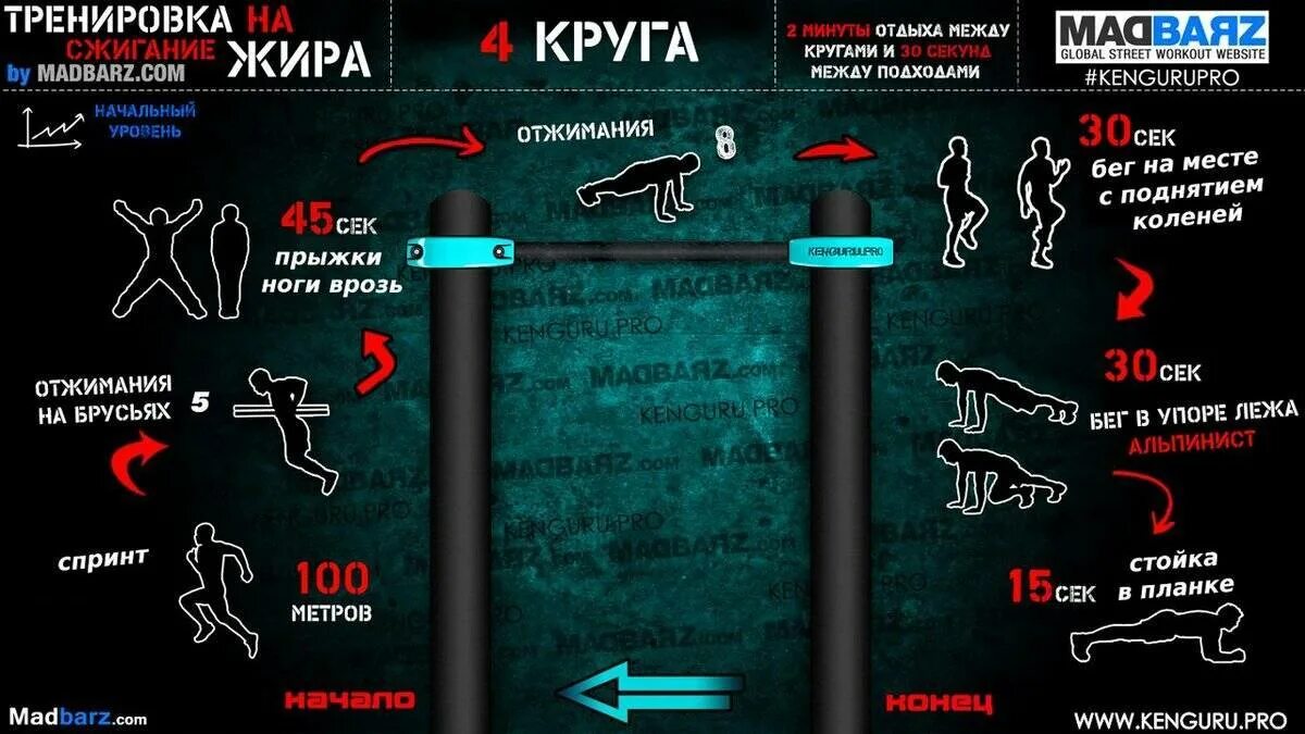 Круговая тренировка. Воркаут упражнения для начинающих. Программа тренировок. План тренировок для жиросжигания.