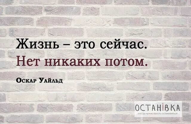 Никаких потом. Надо жить цитаты. Реклама в тц. Реклама торгового центра мега. Реклама тц мега.