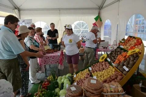 Агровыставки 2024