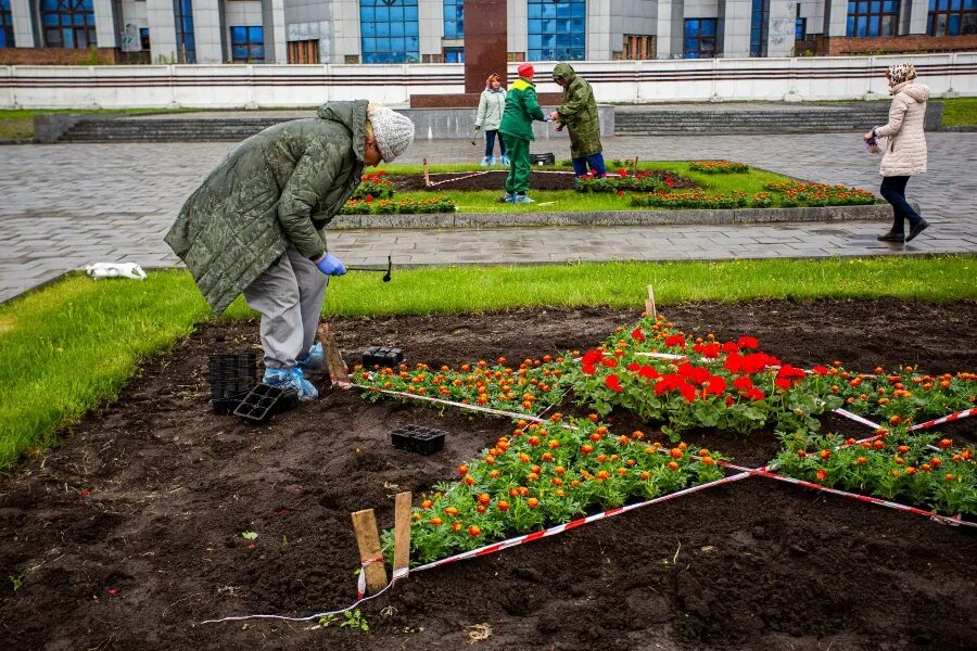 Зеленый Новосибирск.