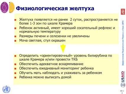 Физиологическая желтуха на какой день