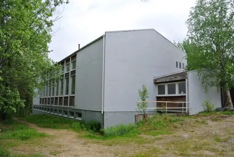 11 нп