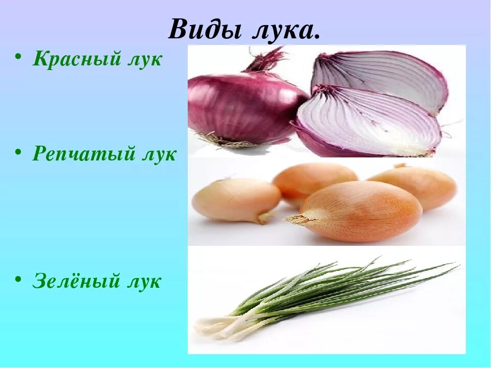 Red, white, yellow or sweet onions? Which one should I use? Spinach nutrition fa