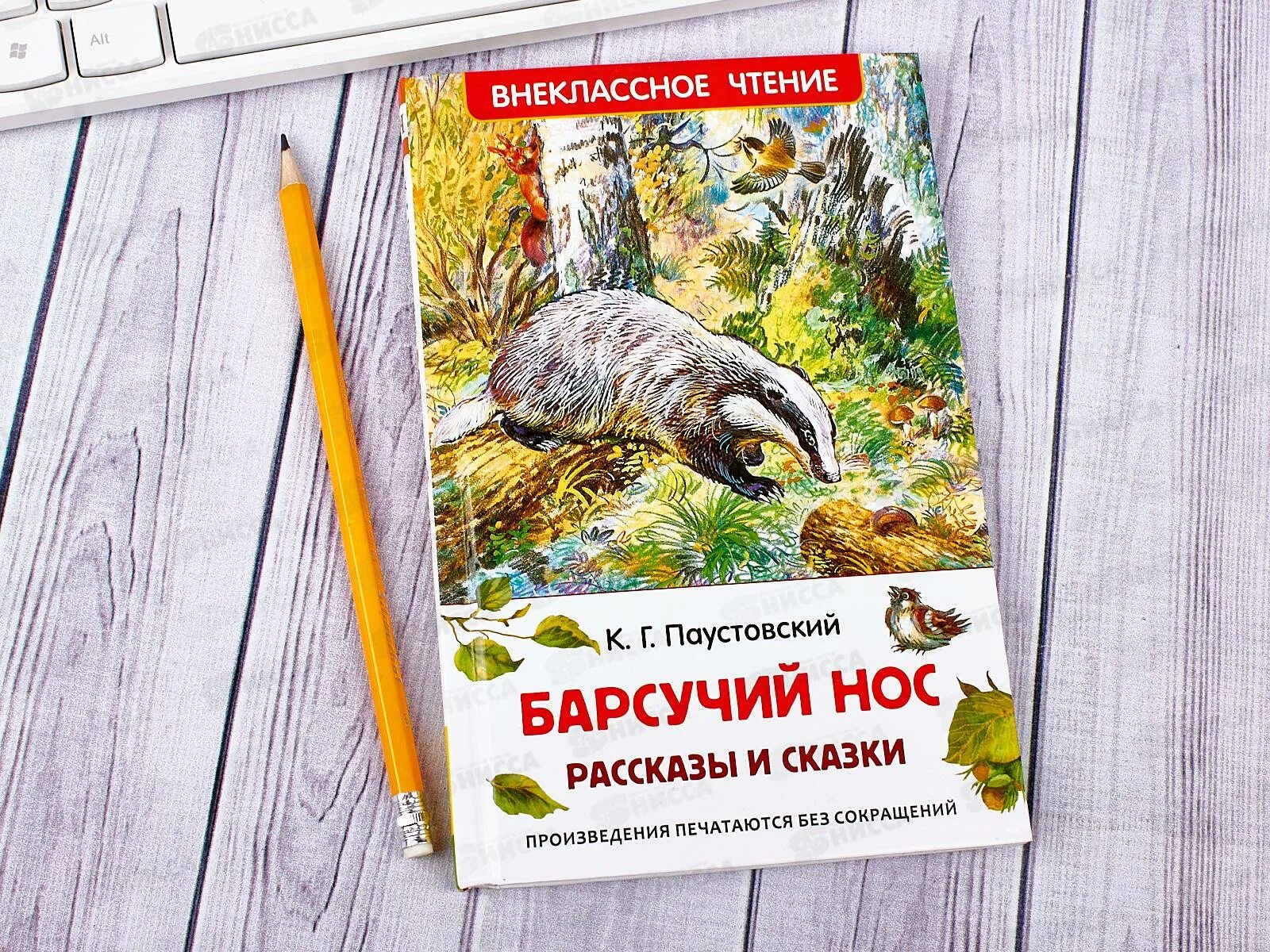 Сказки паустовского о животных. К. Паустовский "барсучий нос". Барсучий нос Внеклассное чтение. Паустовский книг для детей барсучий книга.