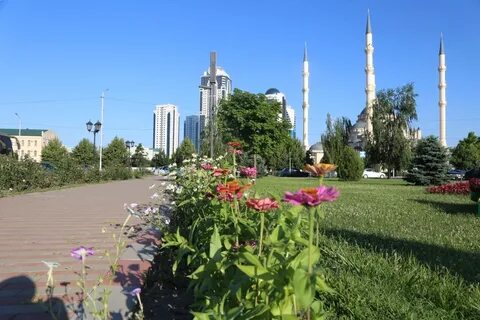 Цветы грозный