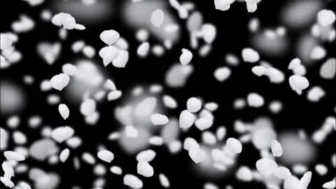 Falling flowers