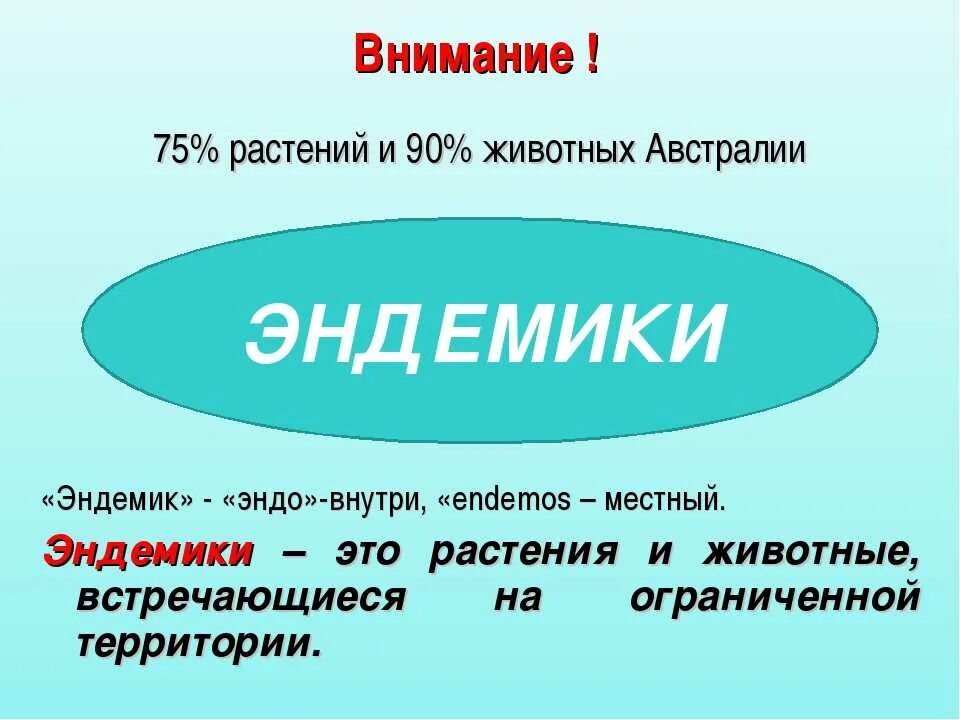 Что такое эндемики в географии