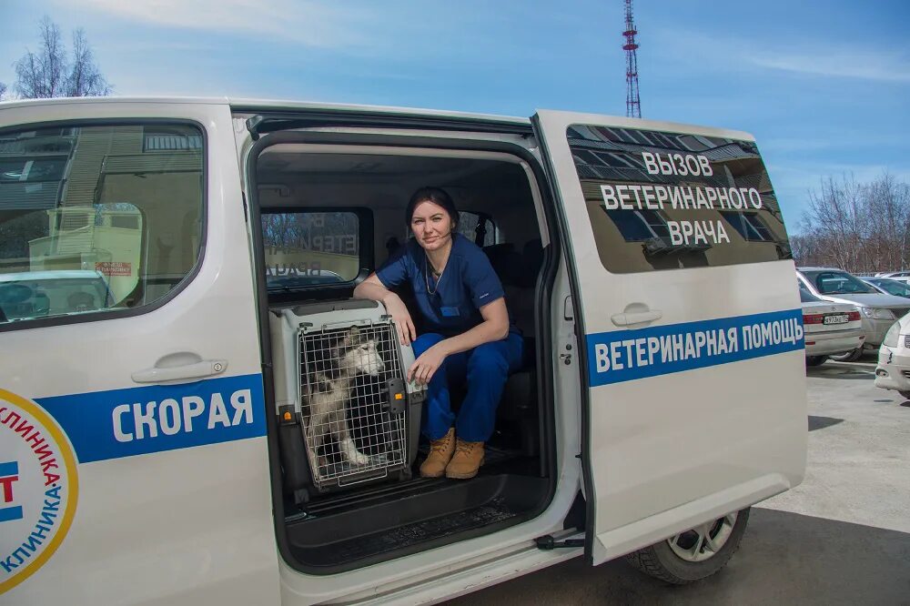 Скорая ветеринарная помощь. Ветеринарный автомобиль. Машина скорой помощи для животных. Машина ветеринарной помощи. Ветеринар вызов врача