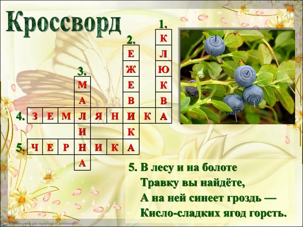 Изменение в неживой природе и жизни растений летом. Летние изменения в жизни растений. Изменения в жизни растений летом. Изменения в жизни растений летом 1 класс. Кроссворд сезонные изменения в жизни организмов