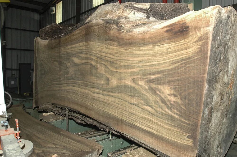 распил ореха. необрезная доска канадского кедра. груша пиломатериал. срез дерева грецкого ореха. распил ореха.