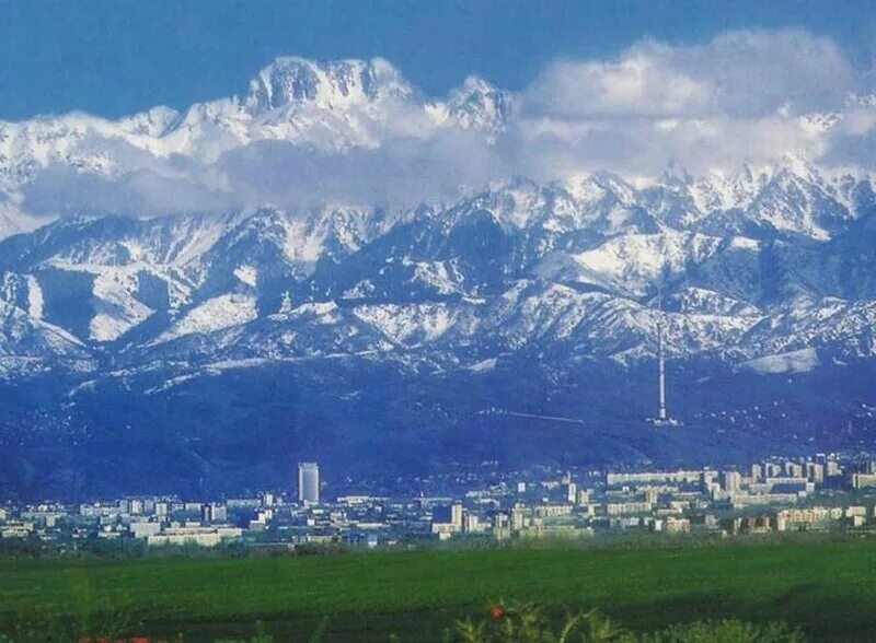 Https almaty