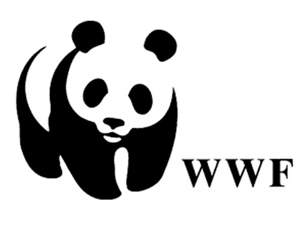 Video wwf. Wwf эмблема. фонд дикой природы логотип. панда wwf.