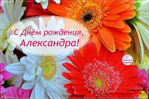 Саша с днем рождения поздравления картинки девочке