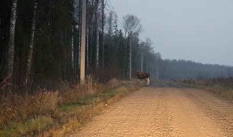 Участок выходит на дорогу