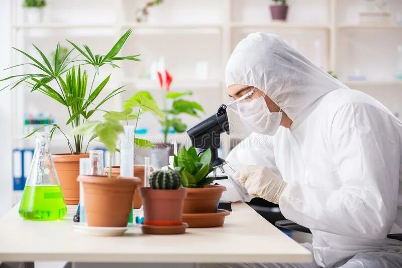 Working labs