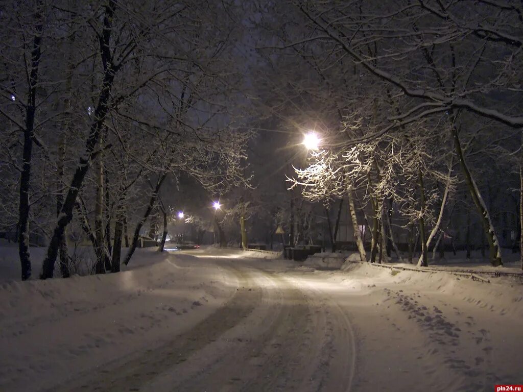 Москва снегопад ночь. Налипание снега. Налипание снега на провода и деревья. Сильный снег ночью