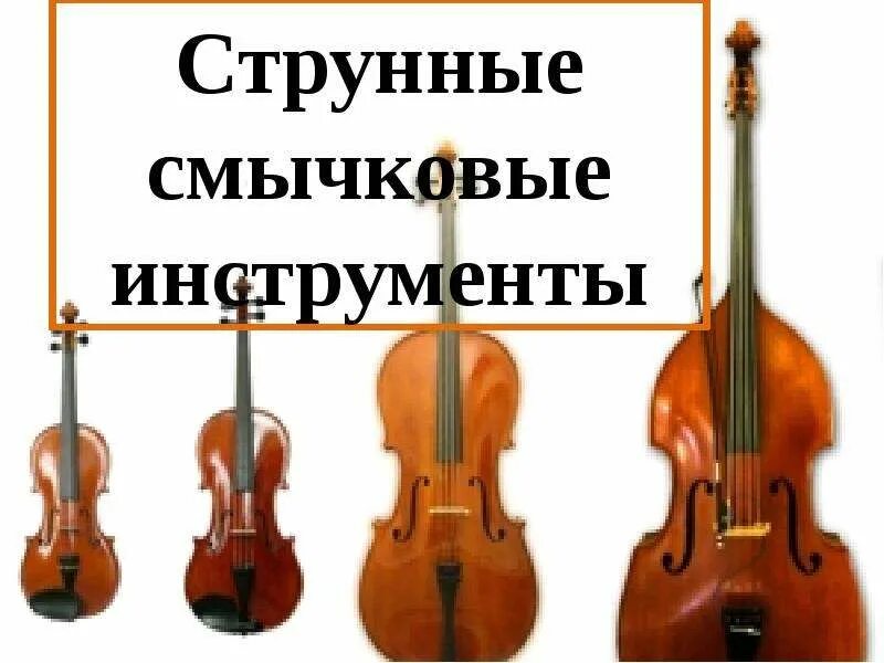 Общее название струнных смычковых инструментов 5