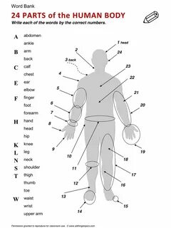 Body english