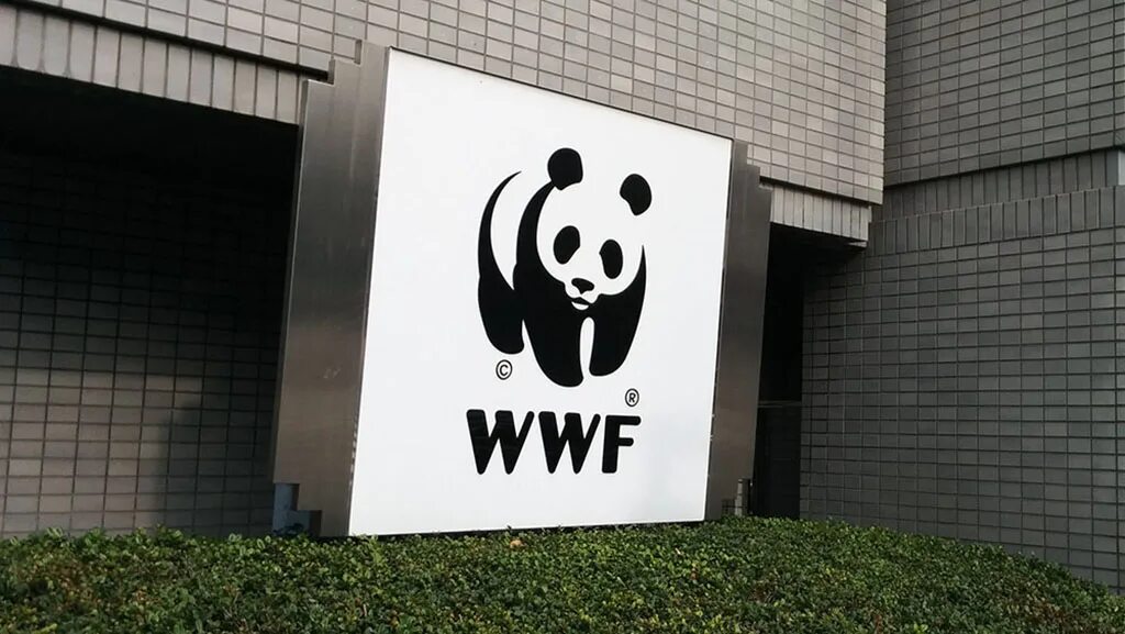 The world wildlife fund is. Всемирный фонд дикой природы WWF России. ВВФ фонд дикой природы. Всемирный фонд дикой природы эмблема. Всемирный фонд природы (WWF) России*.