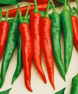First pepper