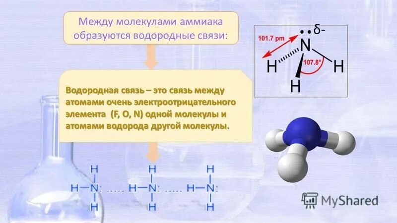 Образование водородной связи в аммиаке. Между молекулами аммиака образуются водородные связи. Водородная связь в молекуле аммиака. Образование водородной связи между молекулами аммиака.