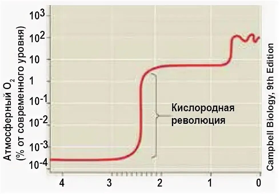 Кислородная революция на земле. Возникновение кислородной атмосферы. Великая кислородная революция кратко. Последствия кислородной революции. Великая кислородная катастрофа.