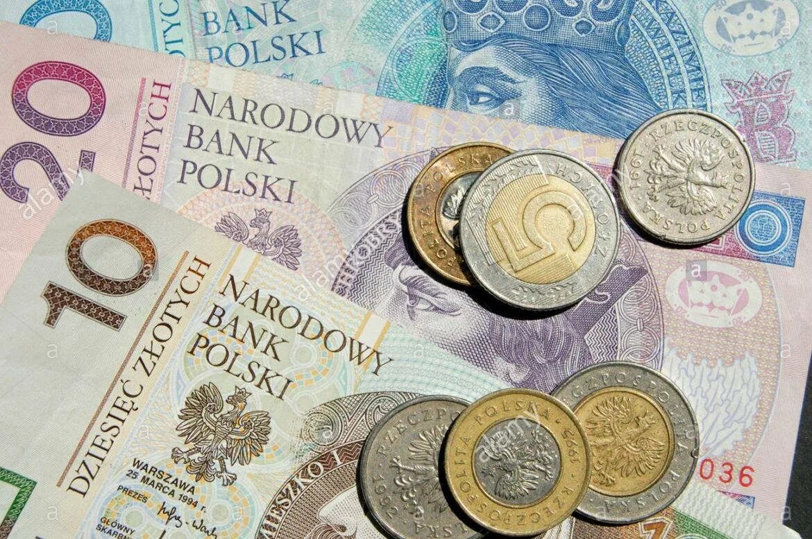 Польские деньги. Польская валюта в рубли. Польский злотый к евро. Польские Злоты к рублю. Перевести польские деньги