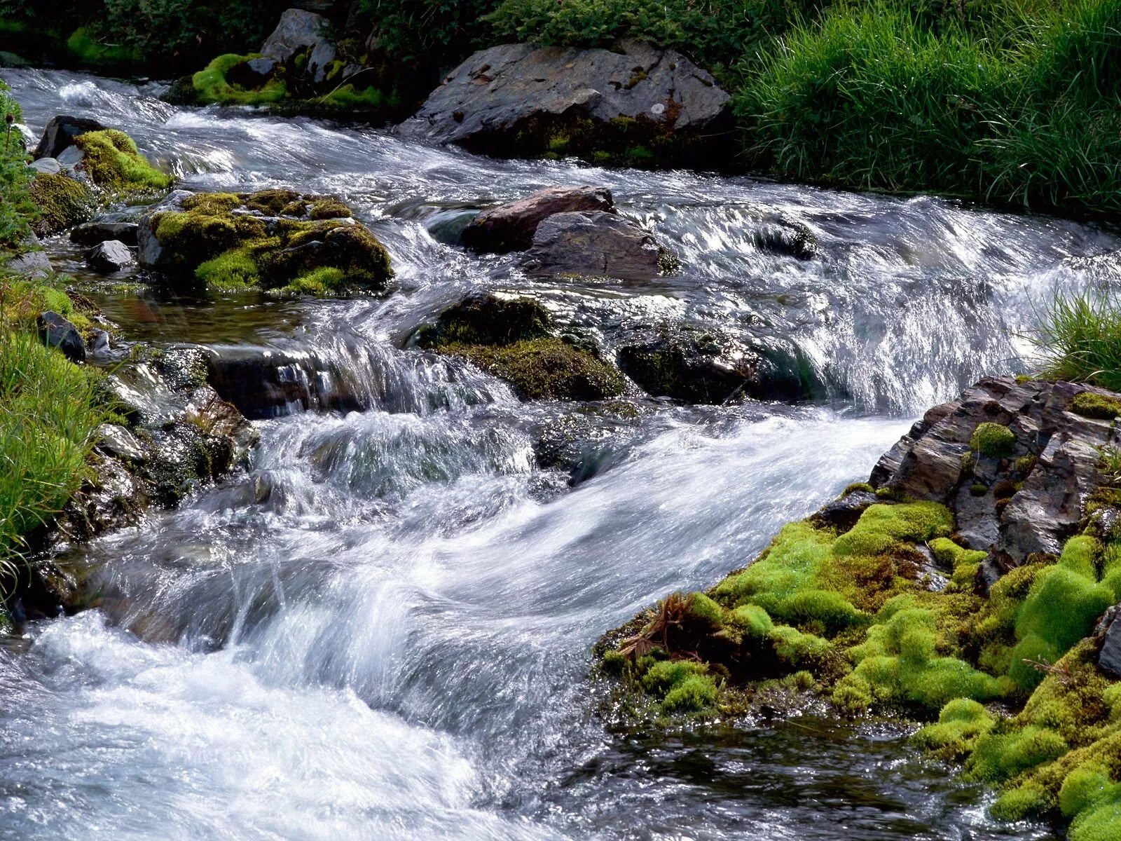 Ручей джалон. Flowing lakes. Река эльба. Flowing lakes. Flowing lakes.