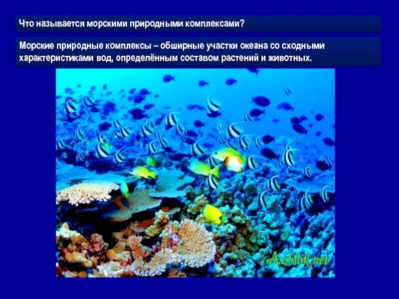 Климатические пояса мирового океана. Природный комплекс атлантического океана. Природные комплексы атлантического океана. Моря как крупные природные комплексы презентация. Природный комплекс атлантического океана.