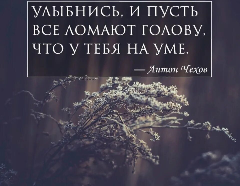 Улыбайтесь почаще цитаты. Цитаты про улыбку. улыбнись цитаты. улыбайся цитаты. улыбайтесь цитаты.