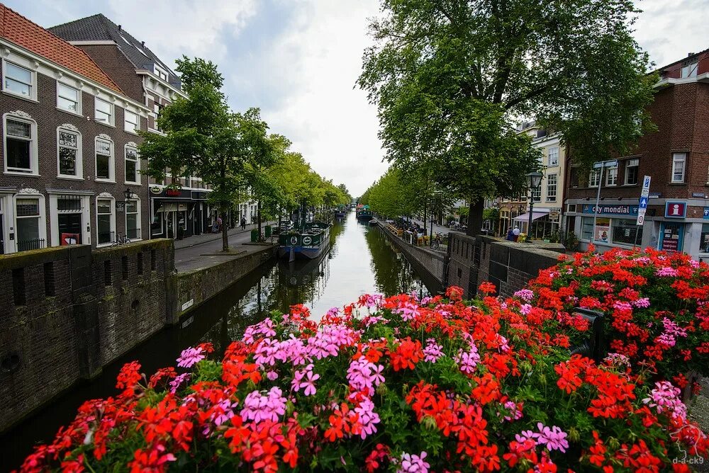 Королевство Нидерланды Гаага. Гаага столица Голландии. Бинненхоф Гаага. Голландия город Хааг. Гаага что это