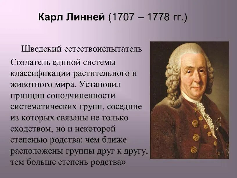 Линней ученый биолог. Карл линней (1707-1778 гг.). к.линней - (1707-1778). к линней вклад в биологию 5 класс. карл линней вклад в биологию.