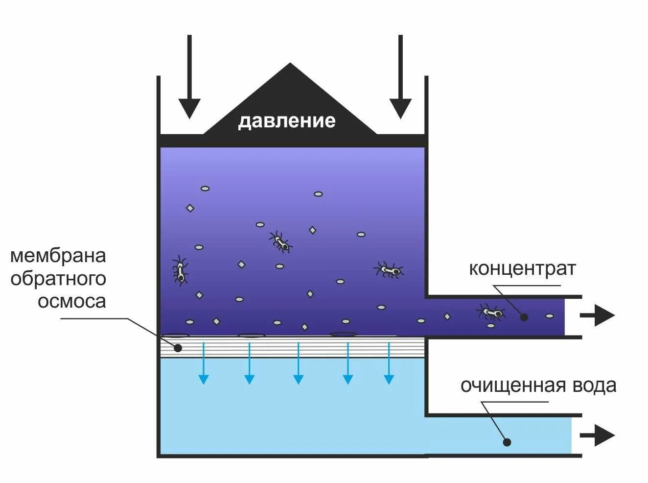 Обратный осмос принцип работы. Метод обратного осмоса очистки воды схема. Мембранная фильтрация воды схема. Мембрана обратного осмоса схема. Фильтрация очистка сточных вод